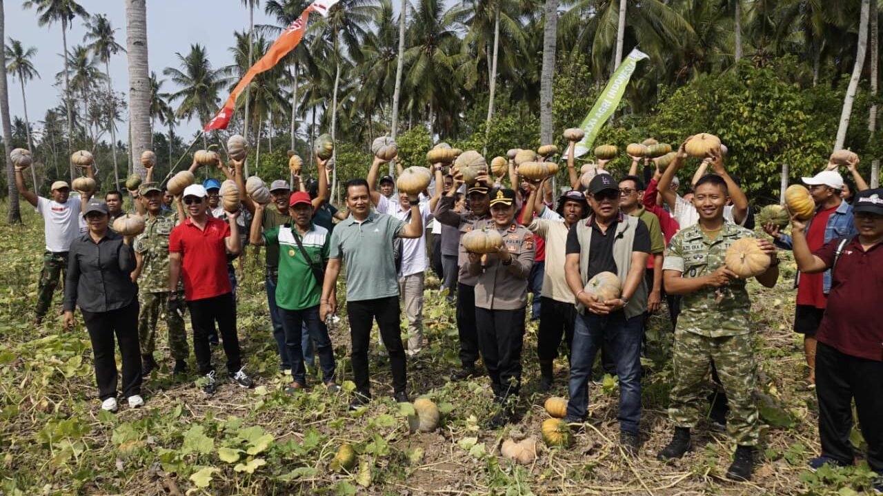 Panen Labu 35 Ton, Jembrana Salurkan 5 Traktor untuk Petani